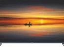 65" (165.1 см) Телевизор Premier 65PRM840USV