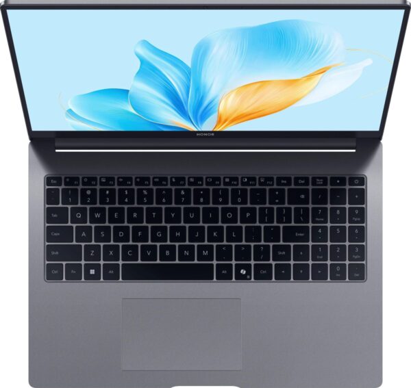 Honor MagicBook X16 BRG-565